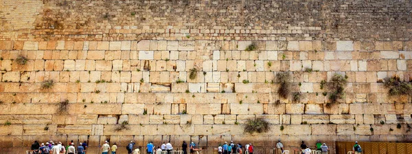 耶路撒冷西墙附近的祈祷者全景 图库照片