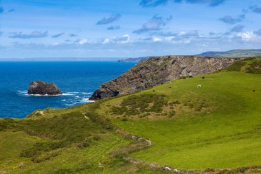 Kuzey Cornwall kıyılarında yaz İngiltere