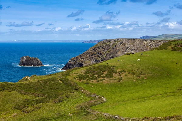Sommar Norra Cornwalls Kust Storbritannien Royaltyfria Stockbilder