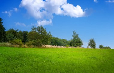 Baharda ağaçlarla ve bulutlu gökyüzüyle güzel yeşil tepe