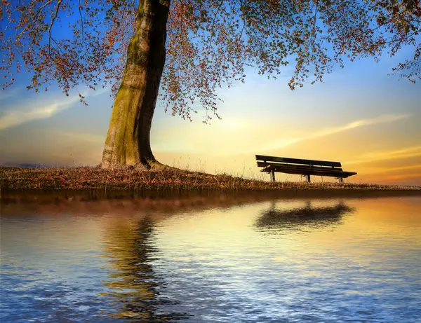 Empty park bench under a big tree at sunset reflection