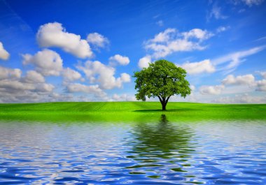 Bahar konseptinde ekolojik yeşil bölge manzarası