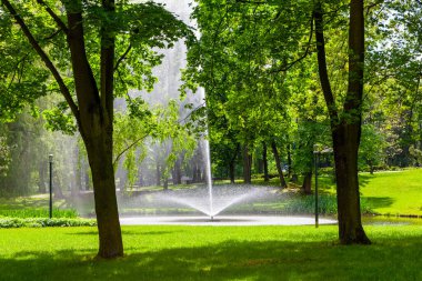 A spring green city park with a fountain and beautiful trees
