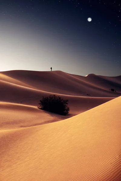 언덕의 아름다운 Sands Dunes National Park — 스톡 사진