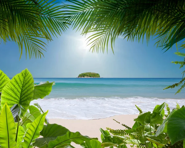Veduta Della Bella Spiaggia Tropicale Con Alcune Palme — Foto Stock