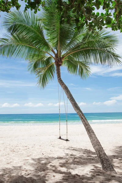 美丽的热带海滩 有一些棕榈树 — 图库照片