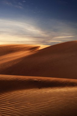 Sands Kumulları Ulusal Parkı 'nda kum tepeleri ve palmiye manzarası