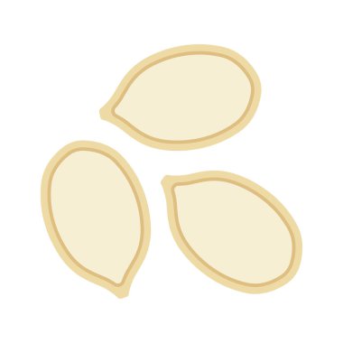 Beyaz arka planda bütün kabak tohumları izole edilmiş. Vektör renk illüstrasyonu.