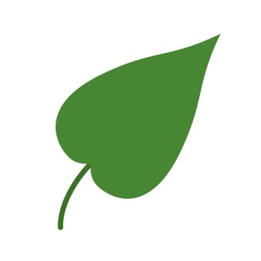 Karaağaç yaprağı bitkisi ikonu. Karaağaç yaprakları, beyaz arka planda izole edilmiş. Vektör illüstrasyonu.