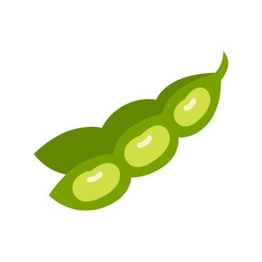 Soy plant beans and pods. Raw soy. Legume green pod. Vector illustration isolated on white background.