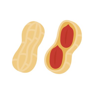 Peanuts icon. Whole and half peanuts isolated on white background. Vector illustration