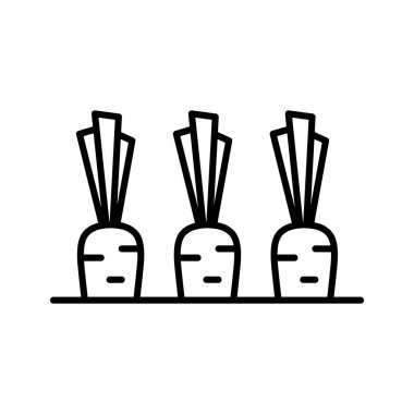 Carrot icon. Ripe carrots in the garden. Pictogram isolated on white background. Vector illustration.