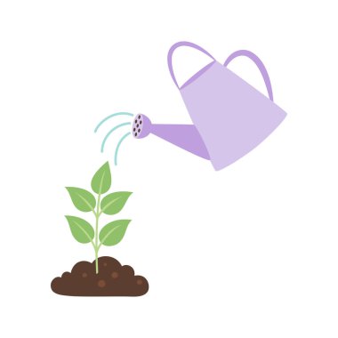 vector purple watering can isolated on white background, gardening tools, seedlings are watered from watering can, flat design