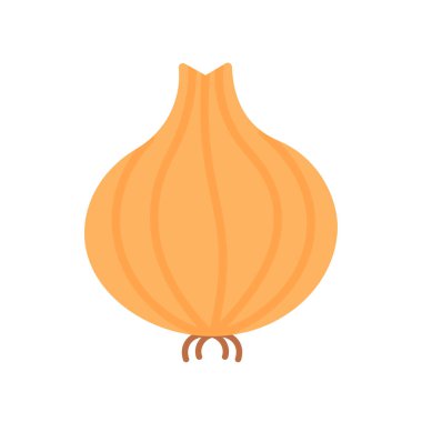 White onion bulb. Vegetables. Vector illustration isolated on white background.