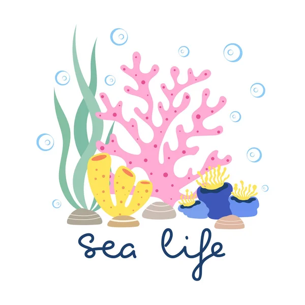 Plakat Wektor Literowania Życia Morskiego Koralowe Glony Lub Wodorosty Morskie — Wektor stockowy