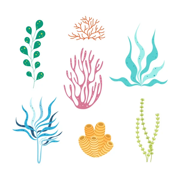 vektör yosunları seti, deniz veya okyanus bitkileri koleksiyonu, düz mercanlar, aydınlatma, filofora, deniz kabukları, beyaz arkaplanda izole su yeşilliği