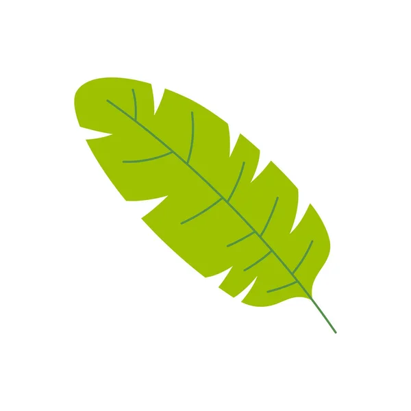 白い背景に孤立した緑のヤシの葉の漫画のベクトル図 — ストックベクタ
