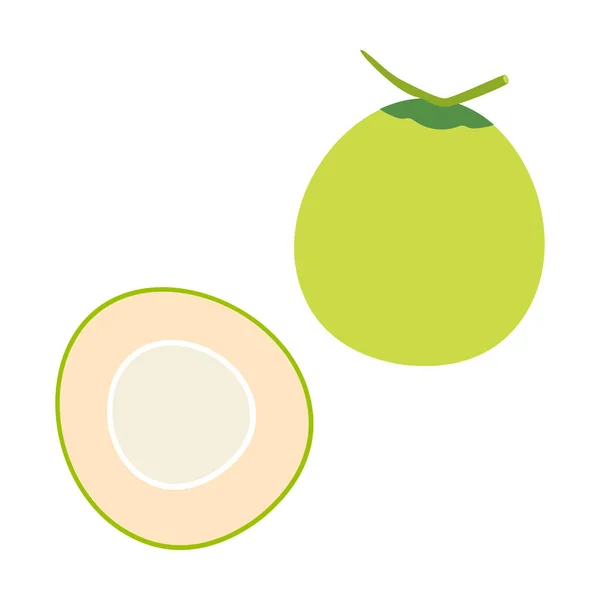 健康的な食品メニューのための全体と半分のココナッツの白い背景に隔離された新鮮な若いココナッツ 漫画のベクトル図 夏の果物のコンセプト シンプルなフラットデザイン — ストックベクタ