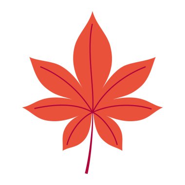  düz renkli sonbahar yaprağı beyaza izole edilmiş.