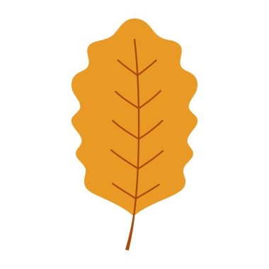 düz renkli meşe yaprağı, sonbahar vektör nesnesi beyaz üzerinde izole