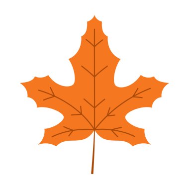 turuncu sonbahar akçaağaç yaprağı beyaz arkaplanda izole edilmiş, basit düz çizgi film stili, tasarım tebrik kartı için sonbahar ögesi, şükran günü