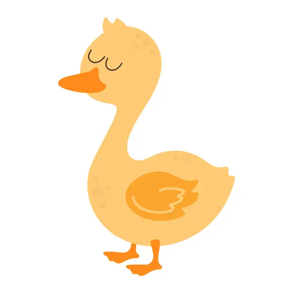 卡通可爱的鸭在白色上被分离出来 用家养的农家鸟作为病媒图解 图库矢量图片