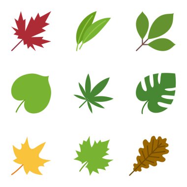 Akçaağaç, bambu, kenevir, meşe, kül ve canavar yapraklarıyla izole edilmiş, düz vektör çizimi