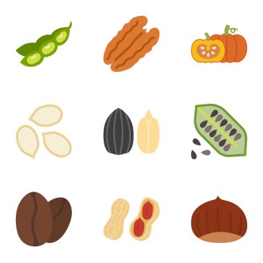 Fındık ve Tohum ikonu seti. Piktogram beyaz arka planda izole edildi. Vektör illüstrasyonu.