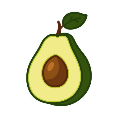Taze avokado yarısı, tohum ve yeşil yapraklı. Vektör illüstrasyonu