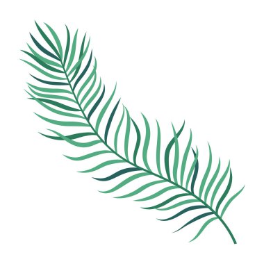 Palmiye yapraklı vektör çizimi düz stil, yaz tropikal bitkisi