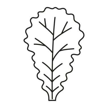 marul sebze ikonu, salata işareti, ana hatlı sebze yaprağı, beyaz arkaplanda izole edilmiş düz vektör çizimi