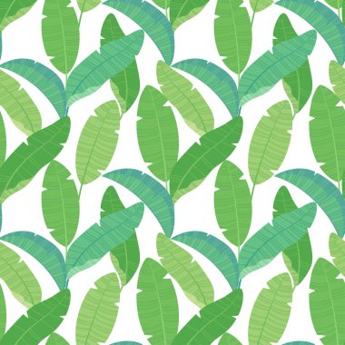 Botanik dikişsiz desen, beyaz arkaplanda muz yapraklı duvar kağıdı