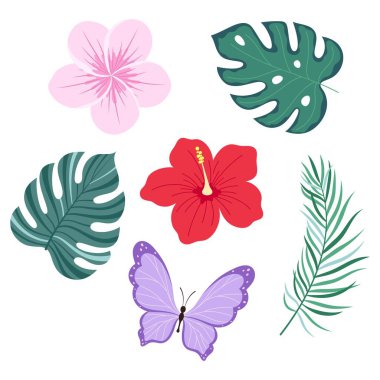 Tropikal yaprakları ve çiçekleri düz bir şekilde gösteren vektör çizimi. Palm leaf, hibiscus, plumeria flowers, Monstera and Butterfly, botanik, çiçek çizimi