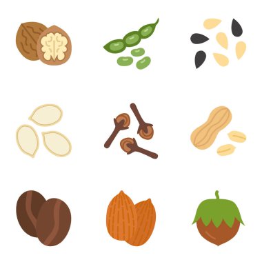 Çeşitli fındıklar, tohumlar, baklagiller ve baharatlar. Vektör illüstrasyonu