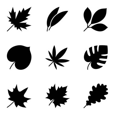 Çeşitli bitki türlerini temsil eden siyah yaprak siluetleri koleksiyonu. Vektör illüstrasyonu