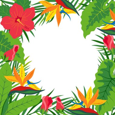 Beyaz zemin üzerinde tropikal yapraklar ve çiçekler çerçeveli vektör çizimi, yeşil bitkiler, egzotik yapraklar, strelitzia ve dizaynı karşılamak için amber çiçeği