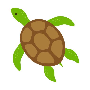 Beyaz arka planda izole edilmiş şirin kaplumbağanın çizgi film çizimi, düz bir deniz hayvanı.