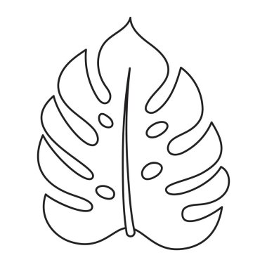 Monstera bitkisinin yaprakları beyaz, ana hatlı tropikal bitki düz vektör illüstrasyonunda izole.