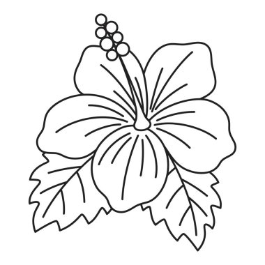 Yapraklı güzel amber çiçeği, siyah beyaz düz vektör çizimi