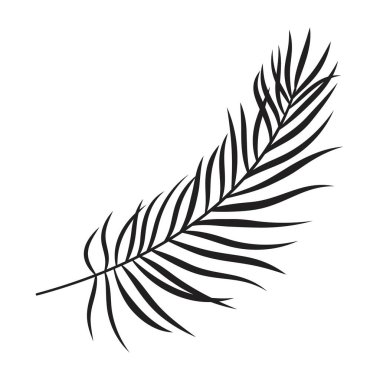 Doğrusal biçimdeki palmiye yaprağı çizimi, beyaz arkaplanda izole edilmiş şubenin ana hatları, tebrik kartları veya davetiyeler için tropikal bitki