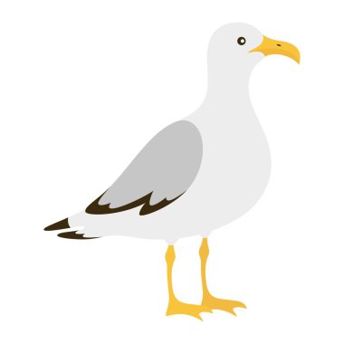 Martı vektör çizimi, çizgi film kuşu düz stil, martı beyaz arkaplan üzerinde izole