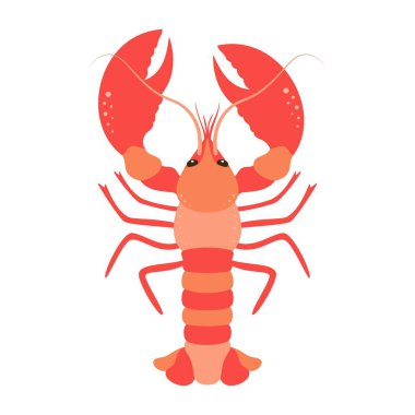 Düz stil ıstakoz, beyaz arka planda izole edilmiş okyanus hayvanının vektör çizimi, deniz posteri.