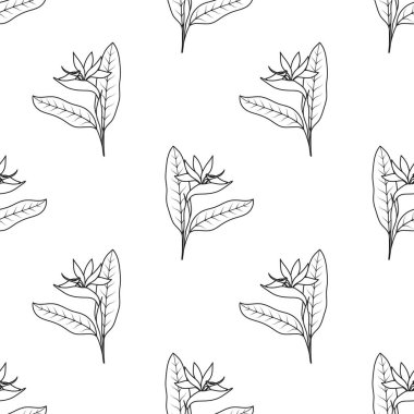 çiçekli desensiz desen, tropikal duvar kağıdı koleksiyonu, beyaz arkaplanda çiçek çizimi.