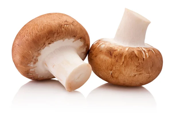 Two Champignon Mushrooms Isolated White Background Stok Resim