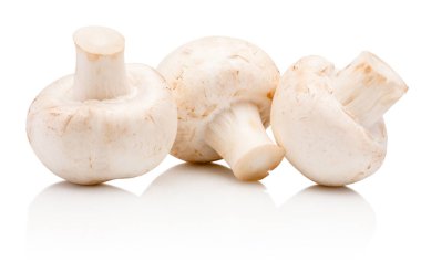 Three champignon mushrooms isolated on a white background