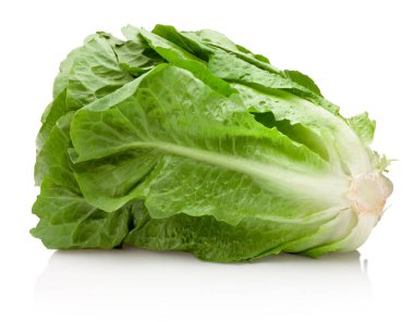 Fresh green romaine lettuce isolated on a white background