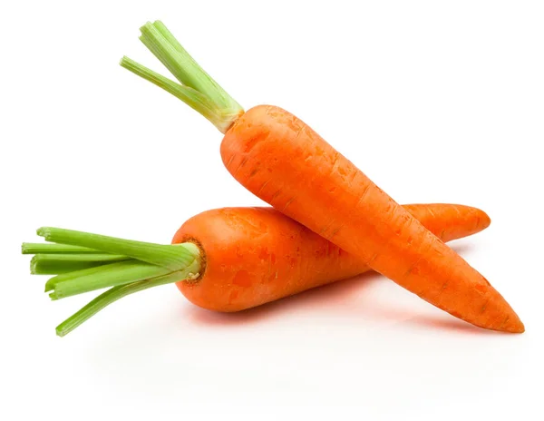 Two Carrot Vegetables Isolated White Background — Stock Photo, Image