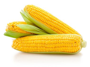 Beyaz arka planda yaprakları olan taze mısır kulakları.