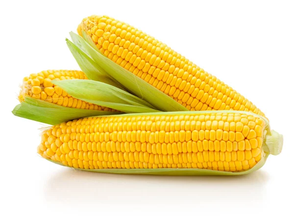 Čerstvé Kukuřičné Uši Listy Izolované Bílém Pozadí — Stock fotografie