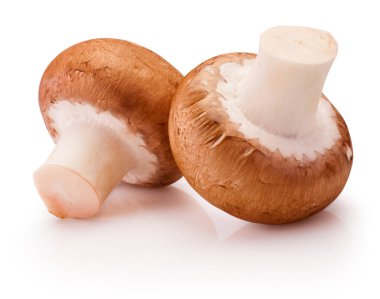 Two champignon mushrooms isolated on a white background
